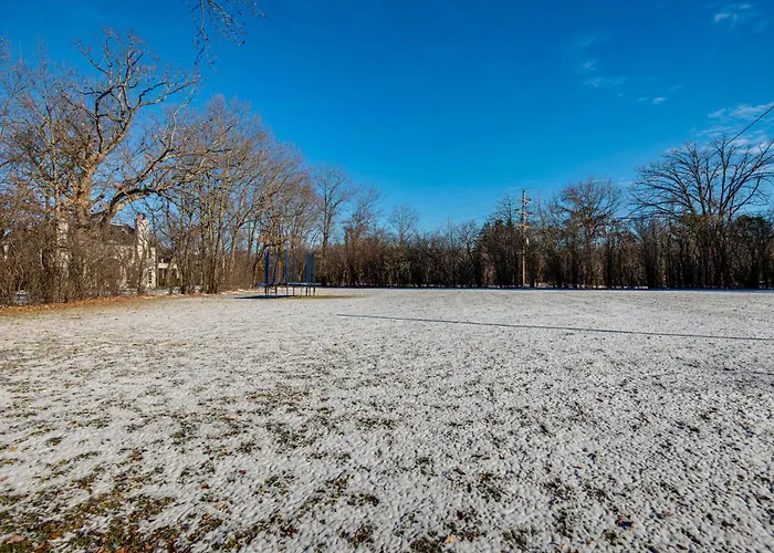 1 Mi To Metra: Estate W/ Theater, Game & Holiday home *